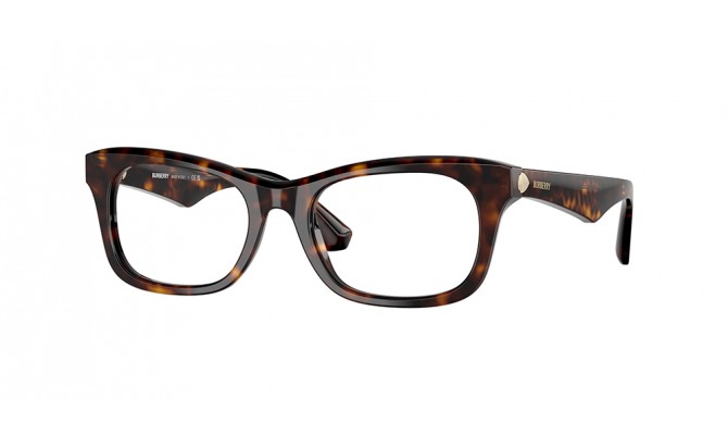  Burberry BE2422-3002-52