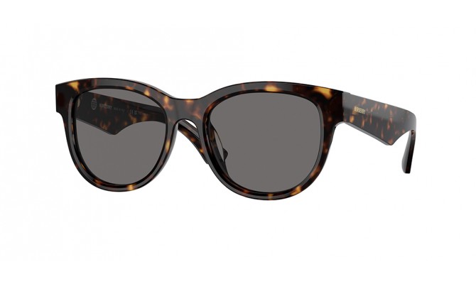 Sunglasses Burberry BE4432U-300281