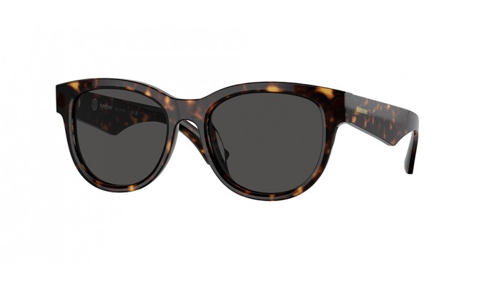Sunglasses Burberry BE4432U-300287