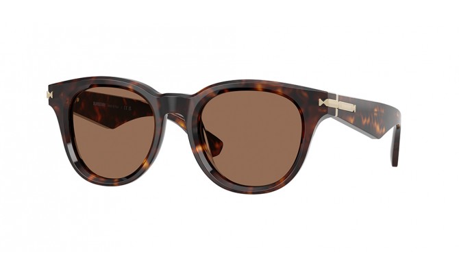 Sunglasses Burberry BE4439-300273