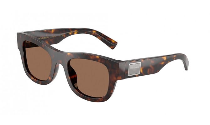 Sunglasses Dolce&Gabbana DG4509-502/73