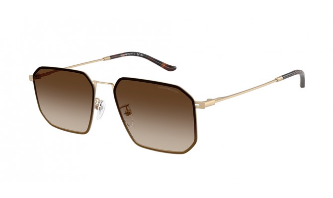 Sunglasses Emporio Armani EA2165D-300213