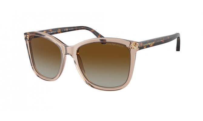 Sunglasses Emporio Armani EA4060-5850T5