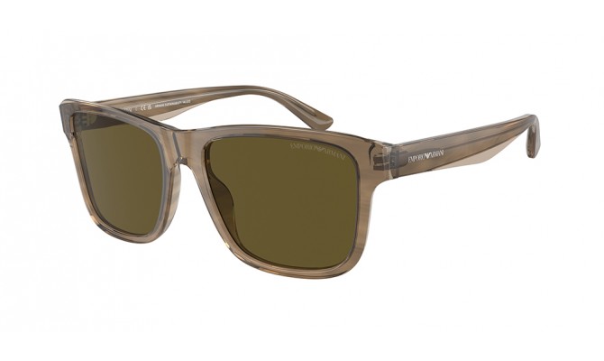 Sunglasses Emporio Armani EA4208-605573