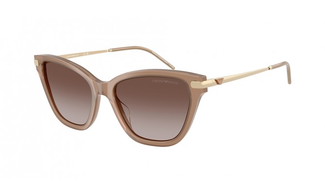 Sunglasses Emporio Armani EA4251-626313