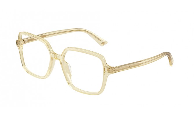  Jimmy Choo JC3046U-5083-55