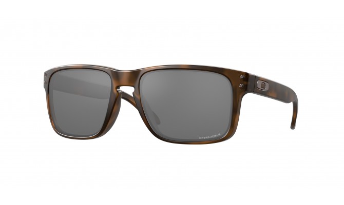  Oakley Holbrook OO9102-9102F4
