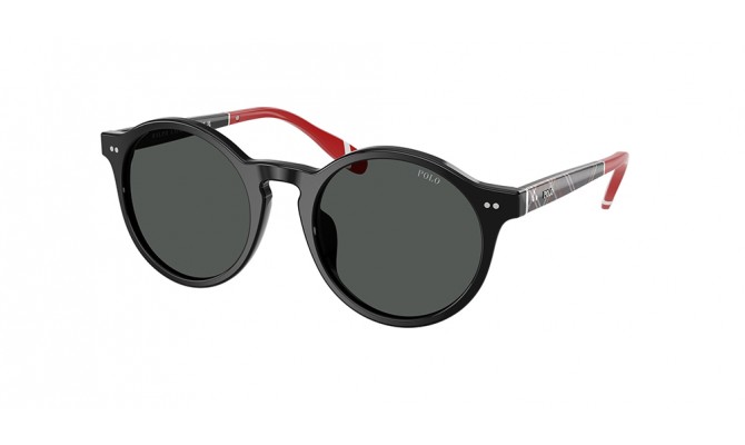 Sunglasses Polo PH4204U-562687