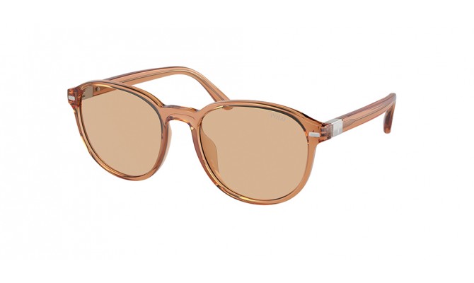 Sunglasses Polo PH4207U-604873