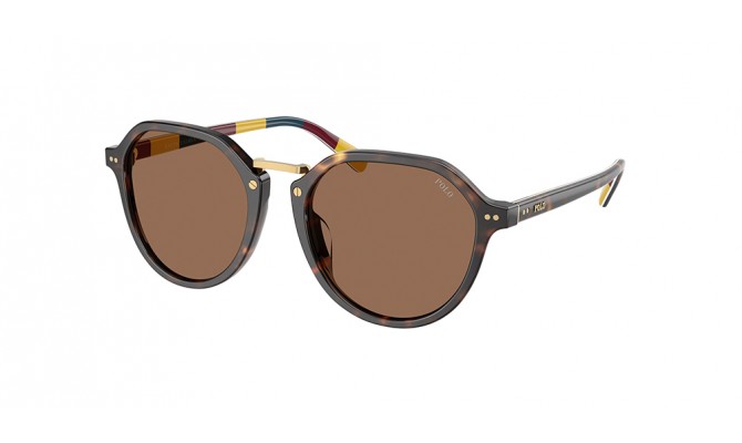 Sunglasses Polo PH4223U-621273