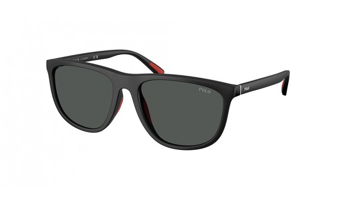 Sunglasses Polo PH4231U-550487