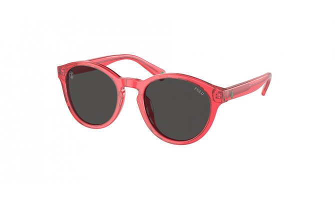 Sunglasses Polo PP9505U-609787