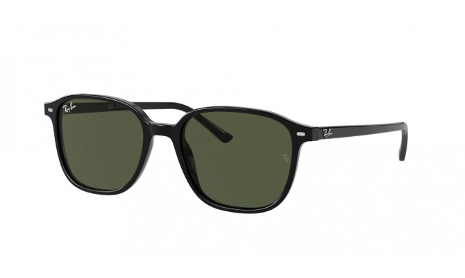  Ray-Ban ® Leonard RB2193-901/31-53