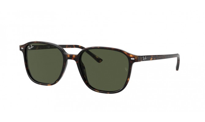  Ray-Ban ® Leonard RB2193-902/31-51