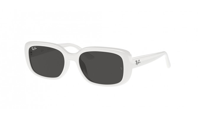  Ray-Ban ® RB4421D-677287