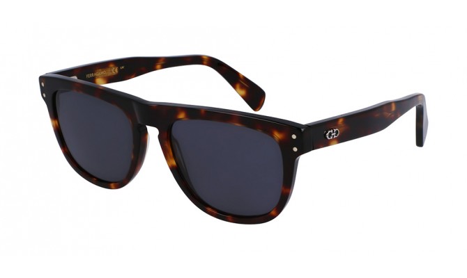 Sunglasses Salvatore Ferragamo SF1111S-242