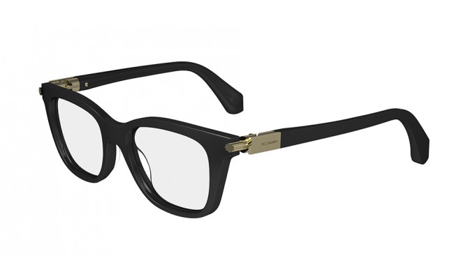  Salvatore Ferragamo SF2973-001