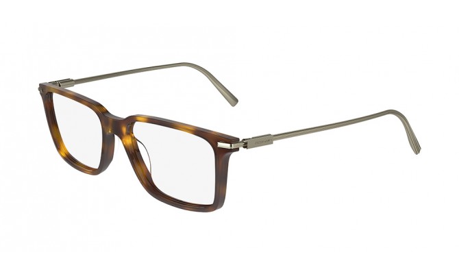  Salvatore Ferragamo SF2977-240