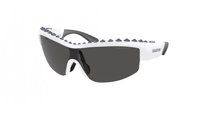 Sunglasses Swarovski SK6014-102987