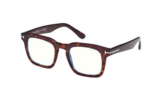 Sunglasses Tom Ford FT6025-B-50052