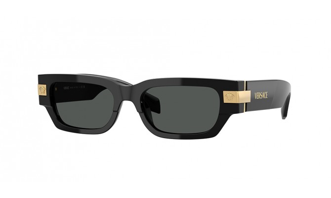 Sunglasses Versace VE4465-GB1/87