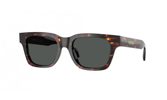Sunglasses Versace VE4486-550987