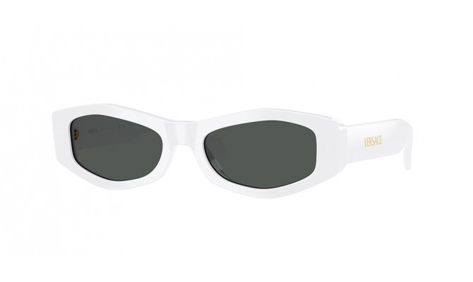 Sunglasses Versace VE4487-314/87