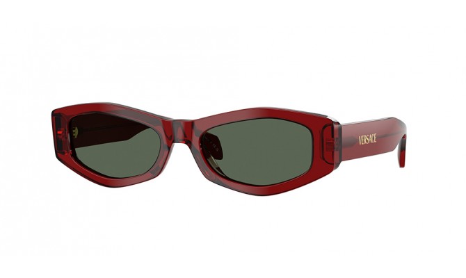 Sunglasses Versace VE4487-551271