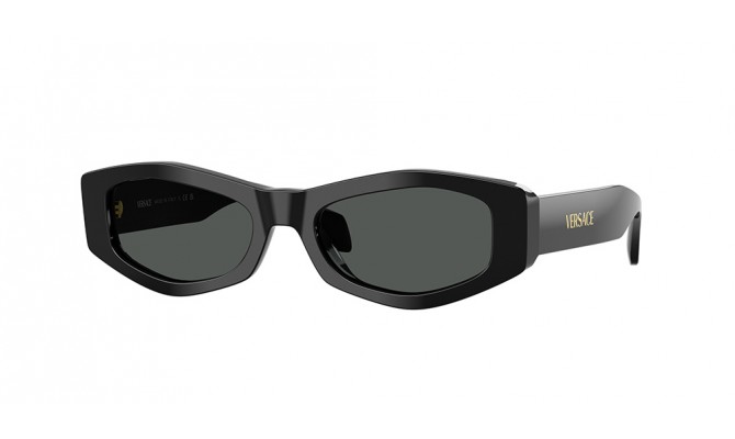 Sunglasses Versace VE4487-GB1/87