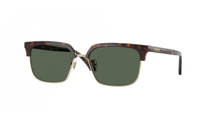 Sunglasses Versace VE4494D-108/71