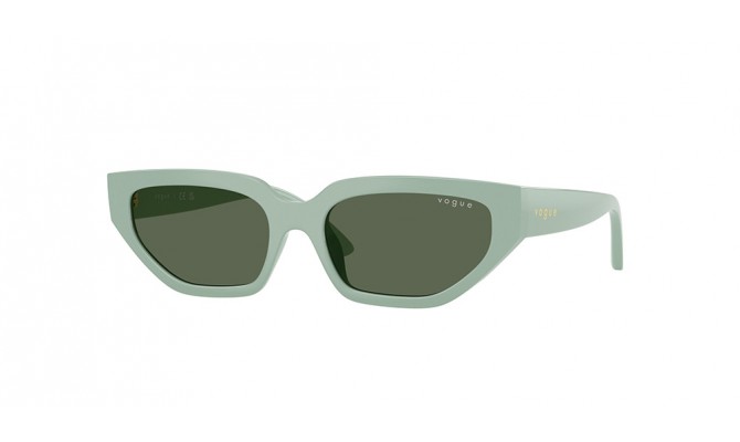 Sunglasses Vogue VJ2029-320571
