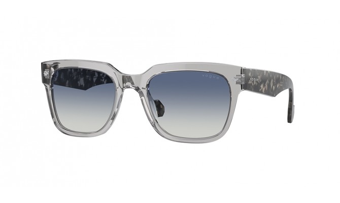Sunglasses Vogue VO5490S-28204L