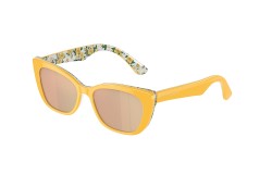 Dolce&Gabbana DX4427-34437J