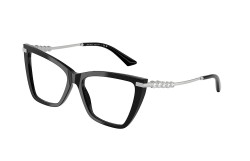 Jimmy Choo JC3020B-5000-55