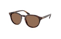 Polo PH4221-613773
