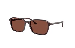 Ray-Ban ® RAIMOND RB2231-1416C5