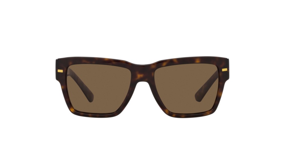 Sunglasses Dolce&Gabbana DG4431-502/73