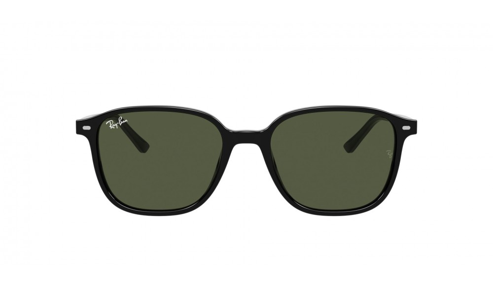  Ray-Ban ® Leonard RB2193-901/31-53