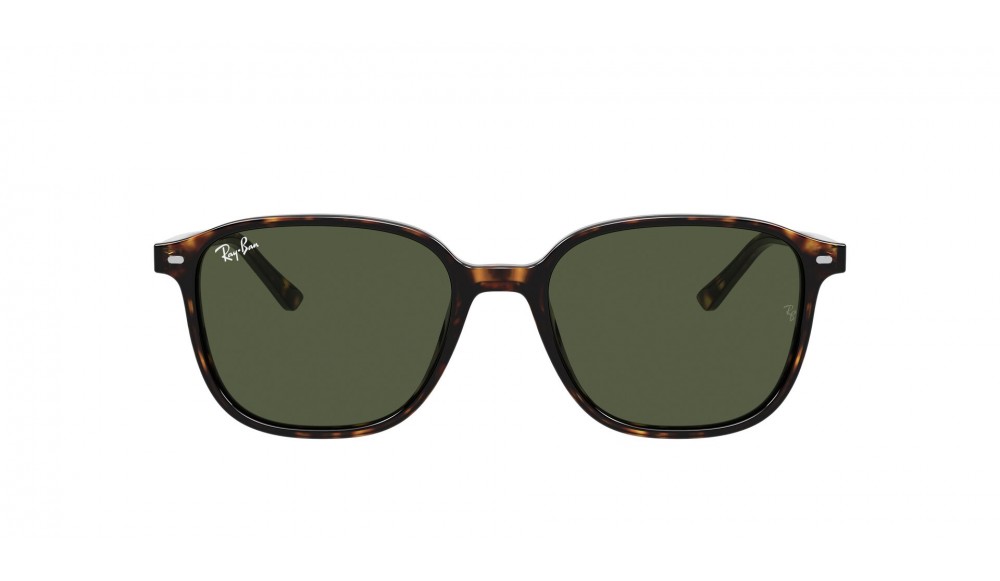  Ray-Ban ® Leonard RB2193-902/31-51