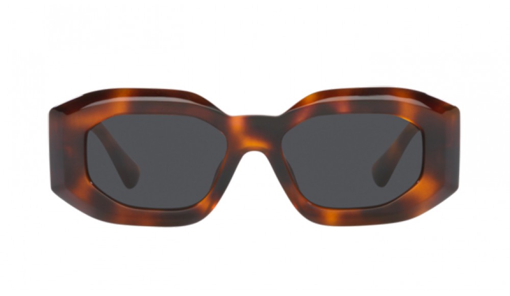 Sunglasses Versace VE4425U-521787