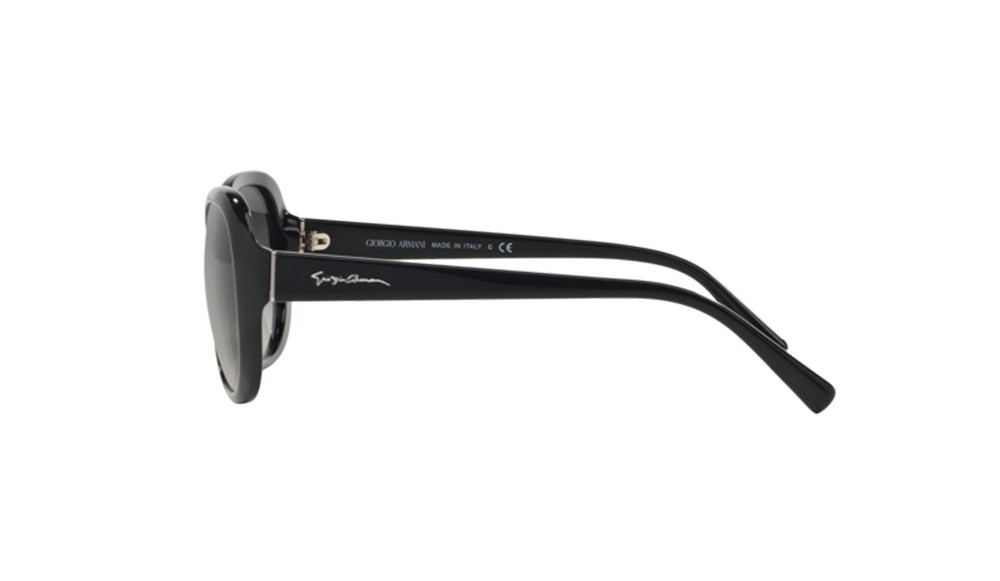 Sunglasses Giorgio Armani AR8047-501711
