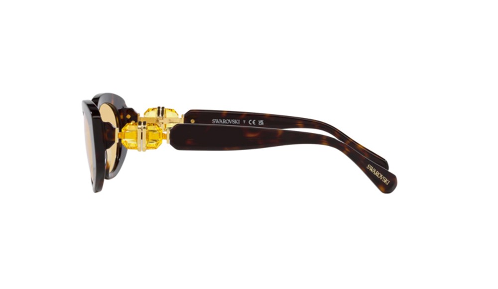 Sunglasses Swarovski SK6002-1002/8