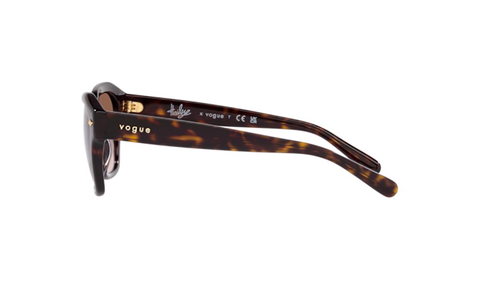 Sunglasses Vogue VO5444S-W65613