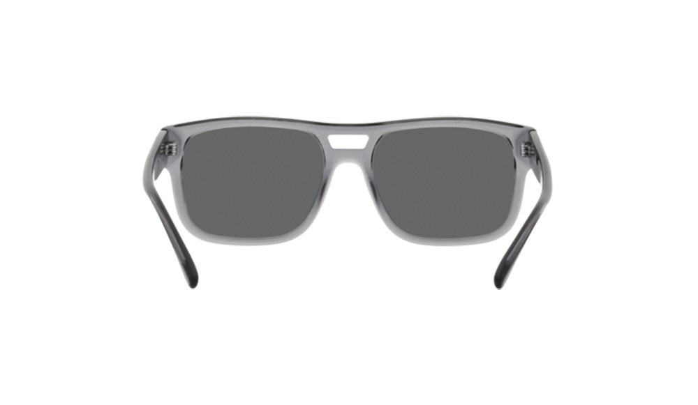 Sunglasses Emporio Armani EA4197-502987