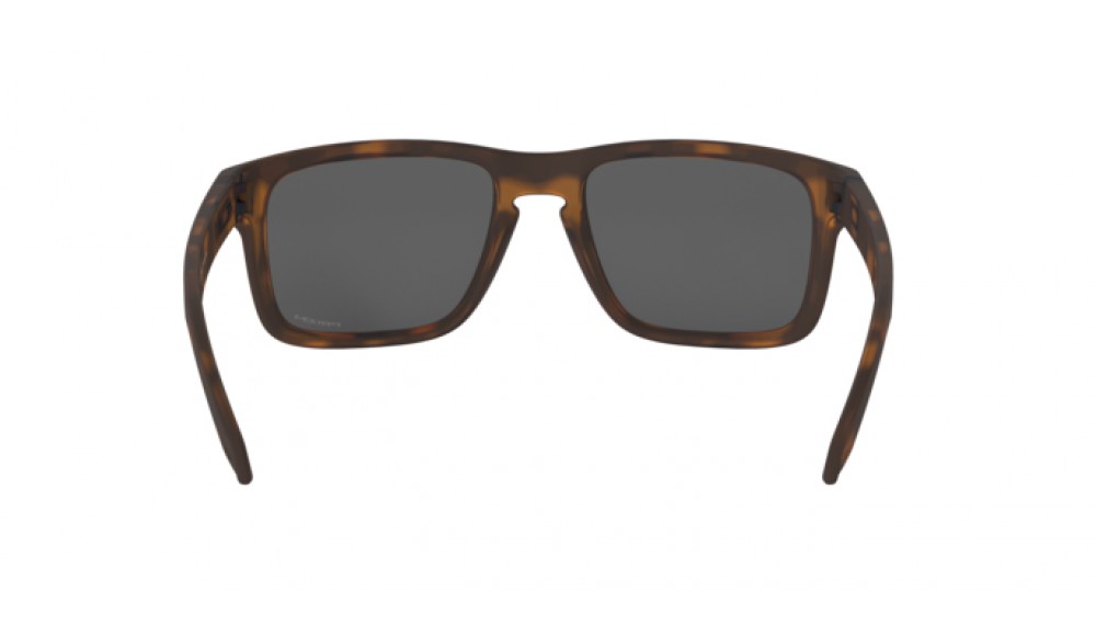  Oakley Holbrook OO9102-9102F4
