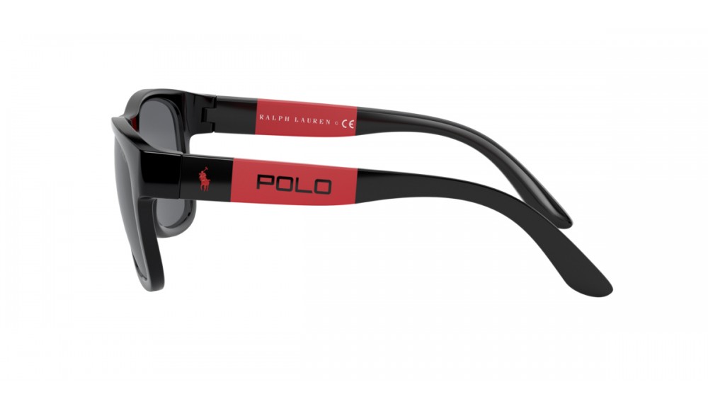Sunglasses Polo PH4162-500187