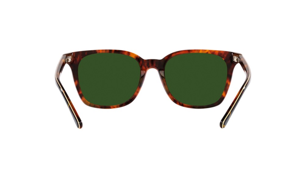 Sunglasses Polo PH4187-501771