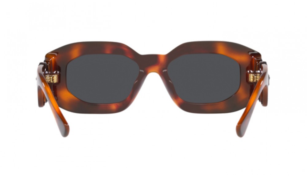 Sunglasses Versace VE4425U-521787