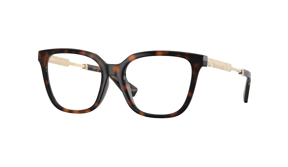  Burberry BE2441U-3002-51