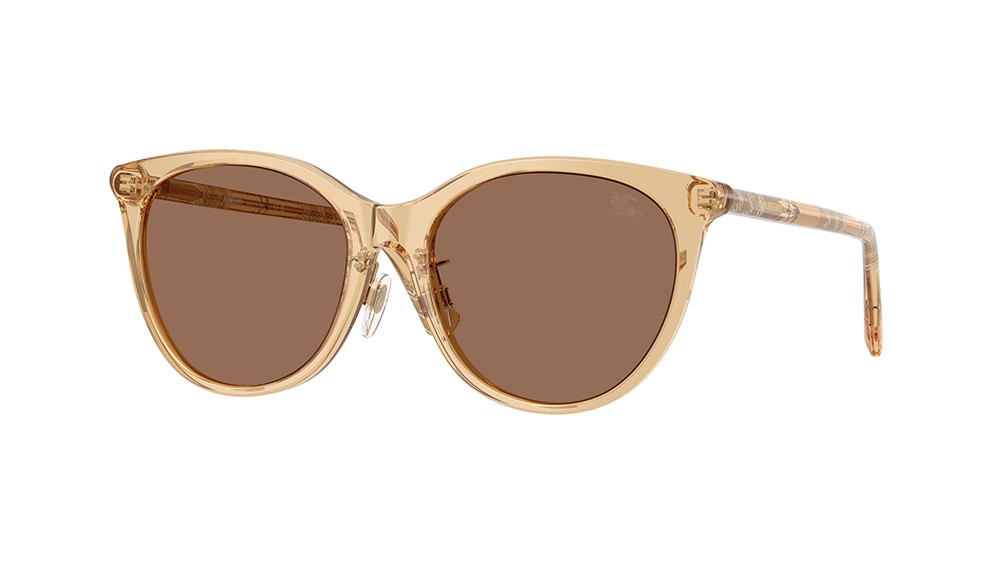 Sunglasses Burberry BE4464D-416773